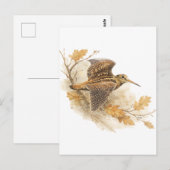 Houtsnip  briefkaart (Voorkant / Achterkant)