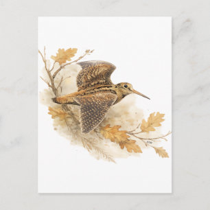Houtsnip briefkaart