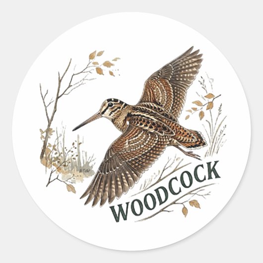 Houtsnip ronde sticker (Voorkant)