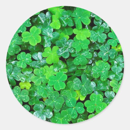 Houtsorrel in de lente ronde sticker (Voorkant)
