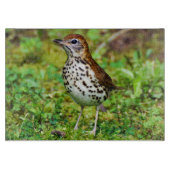 Houtspruitstuk met decoratief glas snijplank (Voorkant)