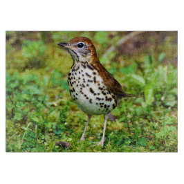 Houtspruitstuk met decoratief glas snijplank