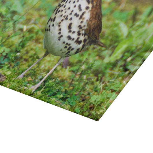 Houtspruitstuk met decoratief glas snijplank (Hoek)