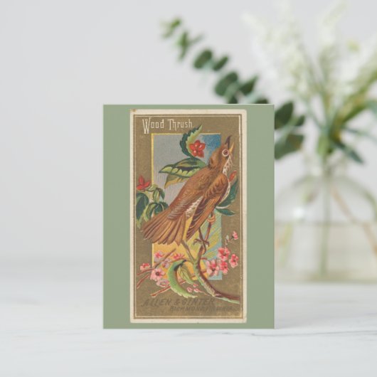 Houtspruw Briefkaart (Staand voorkant)