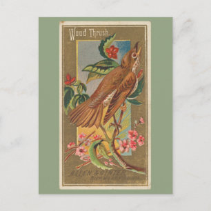 Houtspruw Briefkaart