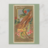 Houtspruw Briefkaart (Voorkant)