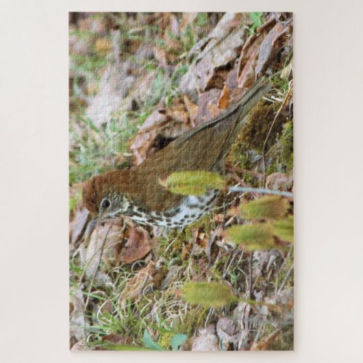 Houtspruw Legpuzzel (Verticaal)