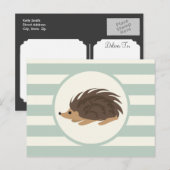 Houtstekelvarken, egel; licht salie groen briefkaart (Voorkant / Achterkant)