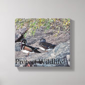Houtwaren beschermen het wild canvas afdruk (Voorkant)