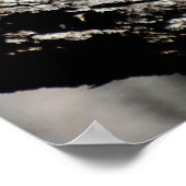 Houtwisk in het wild poster (Hoek)