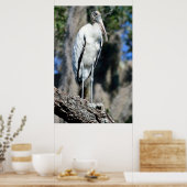 Houtwisk in het wild poster (Keuken)