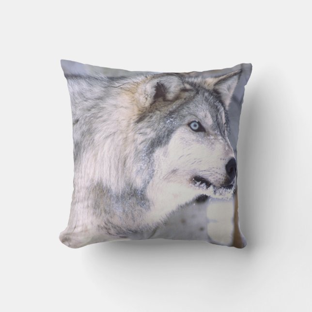 Houtwolf, Canis lupus, Film Dier Utah) Kussen (Voorkant)