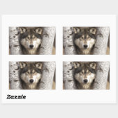 Houtwolf van Jim Zuckerman Rechthoekige Sticker (Vel)