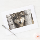 Houtwolf van Jim Zuckerman Rechthoekige Sticker (Envelop)