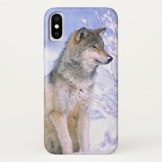 Houtwolf zittend in de sneeuw, Canis lupus, Case-Mate iPhone Case (Achterkant)