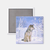 Houtwolf zittend in de sneeuw, Canis lupus, Magneet (Voorkant / Achterkant)