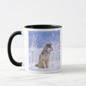 Houtwolf zittend in de sneeuw, Canis lupus, Mok (Links)