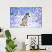 Houtwolf zittend in de sneeuw, Canis lupus, Poster (Thuiskantoor)