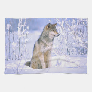 Houtwolf zittend in de sneeuw, Canis lupus, Theedoek