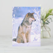 Houtwolf zittend in de sneeuw feestdagenkaart (Staand voorkant)
