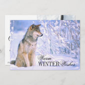 Houtwolf Zittend in Sneeuw Feestdagenkaart (Voorkant / Achterkant)
