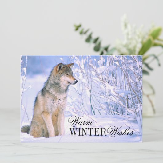 Houtwolf Zittend in Sneeuw Feestdagenkaart (Staand voorkant)