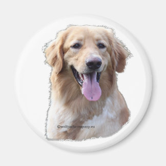 hovawart blond magneet