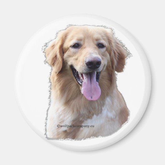 hovawart blond magneet (Voorkant)