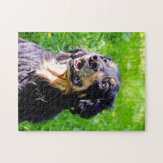 Hovawart Dog. Legpuzzel (Horizontaal)