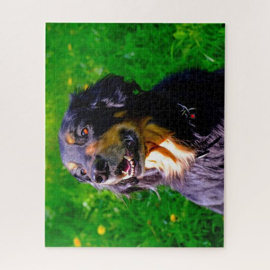 Hovawart Dog. Legpuzzel (Verticaal)