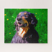 Hovawart Dog. Legpuzzel (Horizontaal)