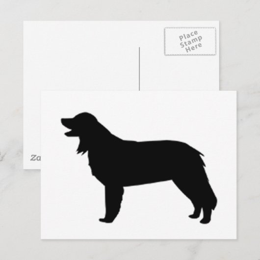 hovawart silhouette briefkaart (Voorkant / Achterkant)