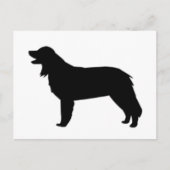 hovawart silhouette briefkaart (Voorkant)