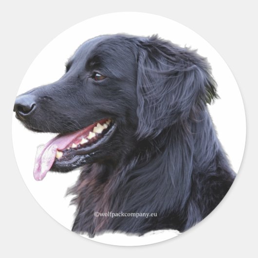 Hovawart Zwart Ronde Sticker (Voorkant)