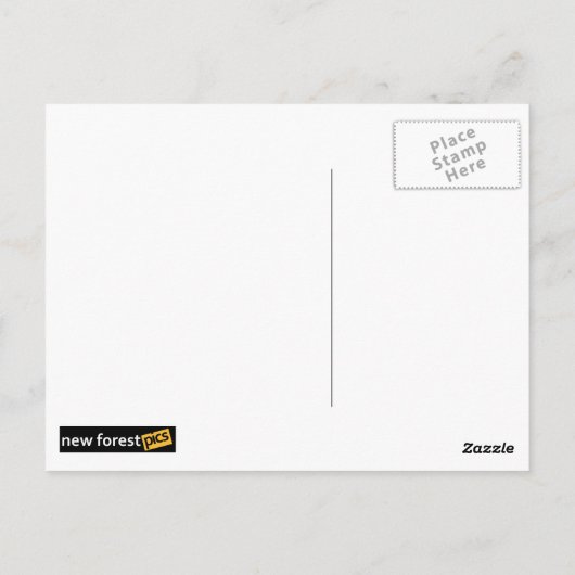 Hove briefkaart (Achterkant)