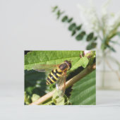 Hover fly ~ briefkaart (Staand voorkant)
