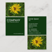 Hover Fly on a Yellow Chrysanthemum - Donkergroen Visitekaartje (Voorkant / Achterkant)