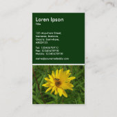 Hover Fly on a Yellow Chrysanthemum - Donkergroen Visitekaartje (Achterkant)