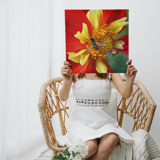 Hover Fly on Orange Collarette Dahlia Floral Canvas Afdruk