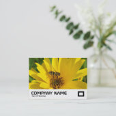 Hover Fly on the Yellow Chrysanthemum Visitekaartje (Staand voorkant)