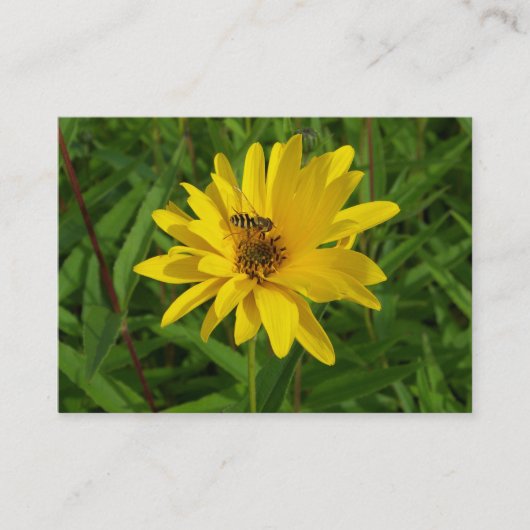 Hover Fly on the Yellow Chrysanthemum Visitekaartje (Voorkant)
