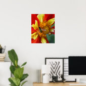 Hover Fly op Collarette Dahlia Foto Poster (Thuiskantoor)