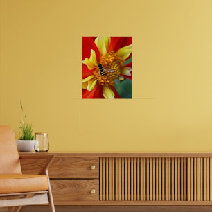 Hover Fly op Collarette Dahlia Foto Poster