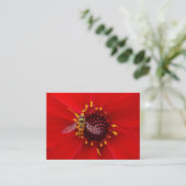 Hover Fly op een Dahlia, foto van Mini Visitekaartje (Staand voorkant)