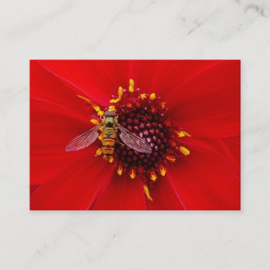 Hover Fly op een Dahlia, foto van Mini Visitekaartje (Voorkant)