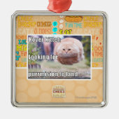 Hover kitteh metalen ornament (Voorkant)