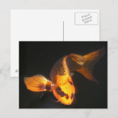 Hover The Great KOI Briefkaart (Voorkant / Achterkant)