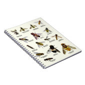 Hoverflies van het Verenigd Koninkrijk - laptop Notitieboek (Rechterzijde)