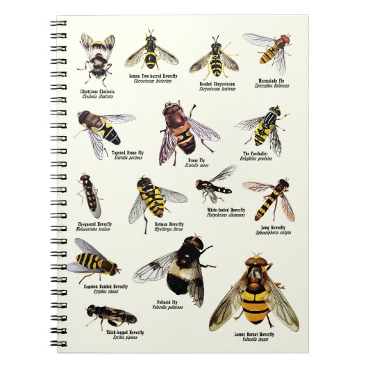 Hoverflies van het Verenigd Koninkrijk - laptop Notitieboek (Voorkant)