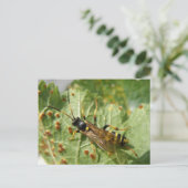 Hoverfly-Briefkaart Briefkaart (Staand voorkant)